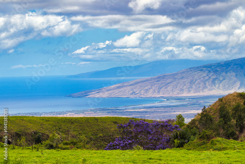 View of Maui coast from Kula which includes a blooming jacaranda.