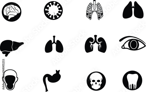 Anatomical Icons: A Visual Journey Through the Human Body