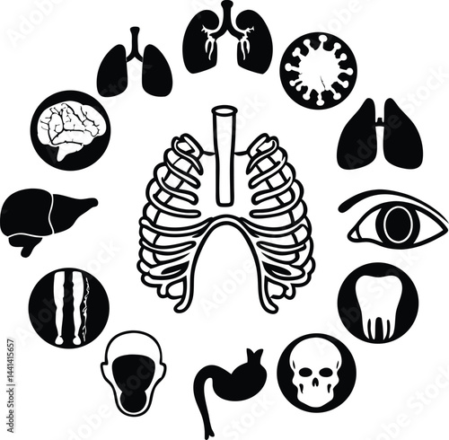 Internal Human Body parts in Silhouette