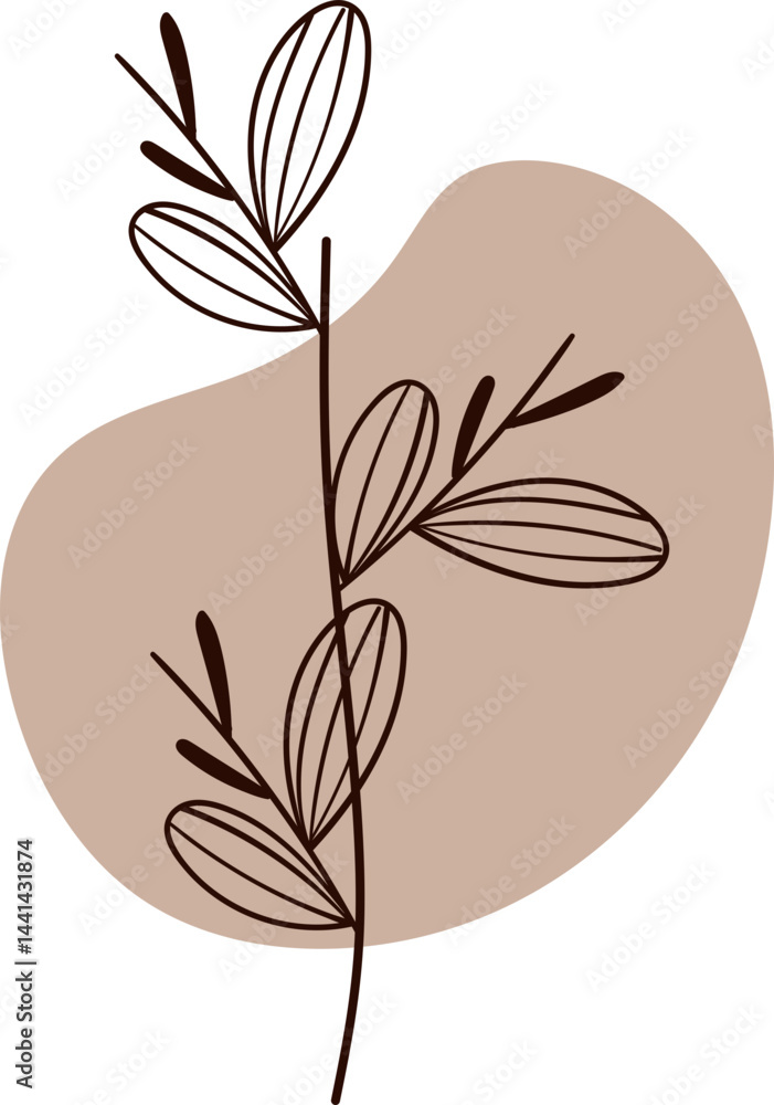 Aesthetic Botanical Aesthetic Botanical