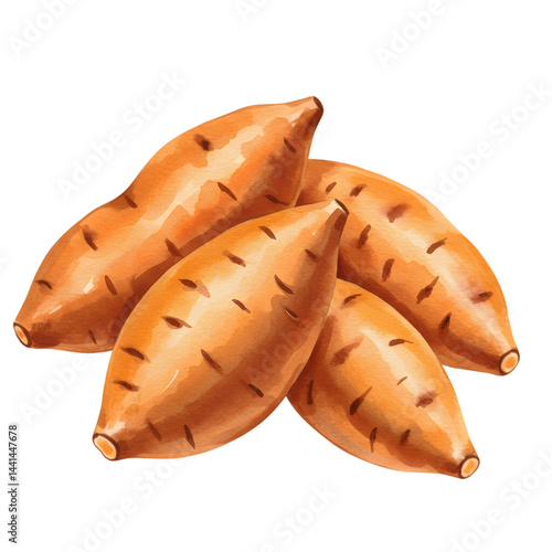 Watercolor sweet potatoes earthy shades