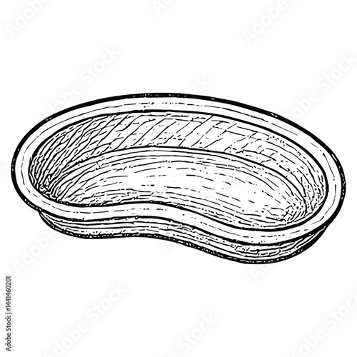 Kidney Dish