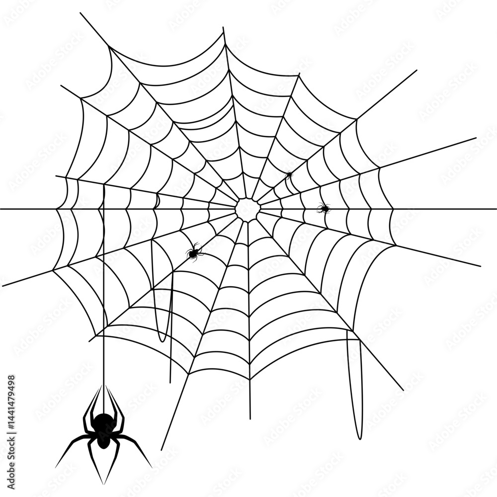 Obraz premium Cobweb with Spider Illustration