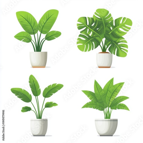 Obraz na płótnie Four potted tropical plants in white pots against a clean white background showcasing lush green foliage and modern botanical illustration style for home decor w salonie