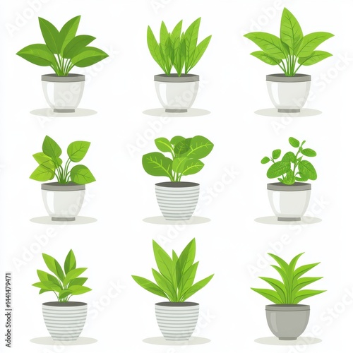 Obraz na płótnie Collection of diverse potted plants indoor plants in white pots for home decor and gardening concept showcasing green foliage and botanical beauty in clean style w salonie