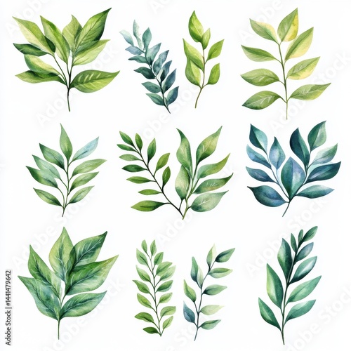 Obraz na płótnie Watercolor foliage arrangement on white backdrop showcasing delicate leaves in various shades of green and blue for botanical designs and spring themes w salonie