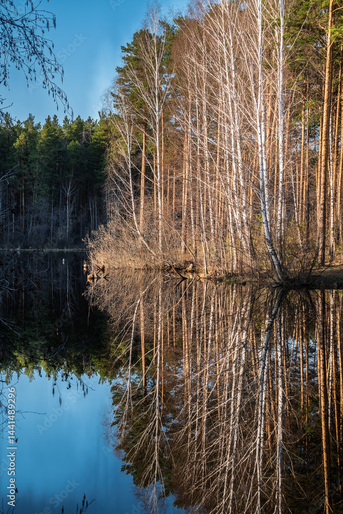 Calm lake with green trees on the shore and a beautiful reflection. Summer landscape.