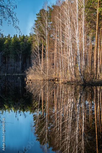 Obraz na płótnie Calm lake with green trees on the shore and a beautiful reflection. Summer landscape. w salonie