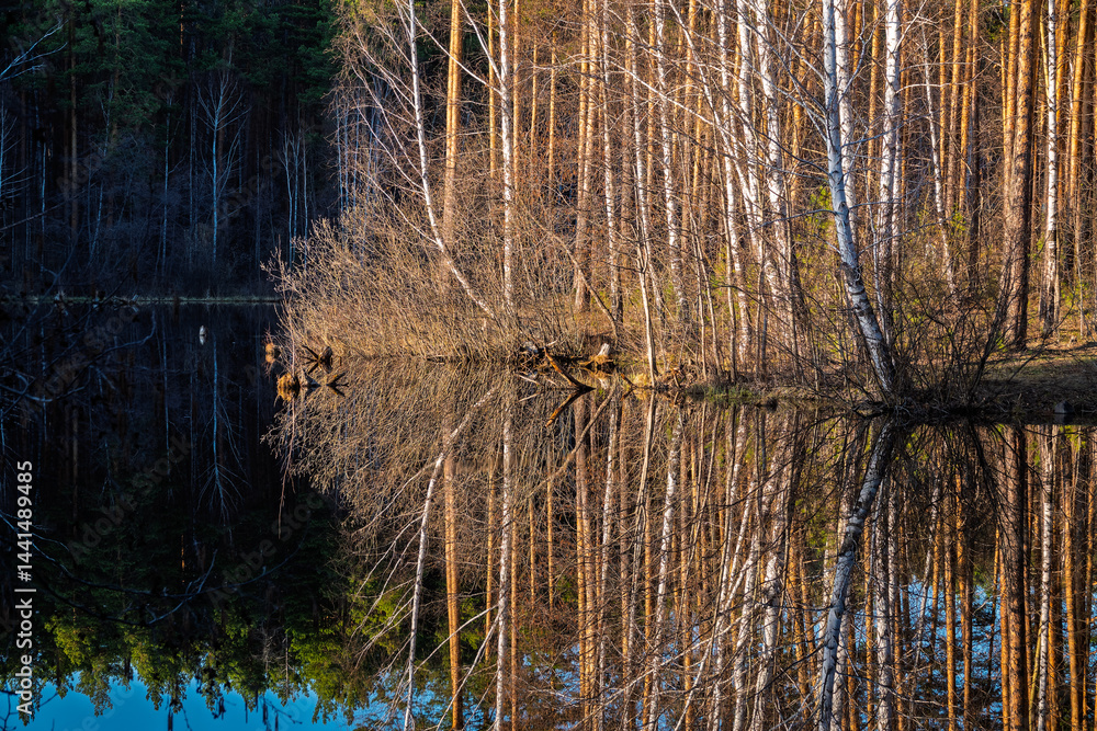 Calm lake with green trees on the shore and a beautiful reflection. Summer landscape.