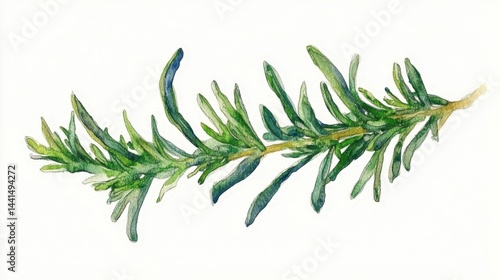 Watercolor painting of fresh rosemary branch on a white background showcasing vibrant green hues and delicate details for culinary and botanical themes