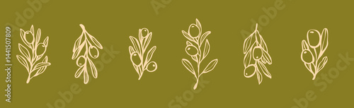 Set of whimsical olive branch with leaves and olive oil logo or olive tree icon, hand drawn olive border botanical medicine herbs in vector format, floral olive frame