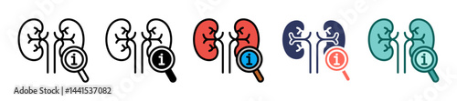 Kidney Function multiple icon
