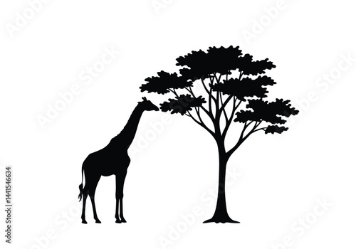 Giraffe and tree silhouette. This image shows a giraffe standing next to a tree, likely an acacia, with the giraffe reaching up to eat the leaves. Vector clipart illustration design.