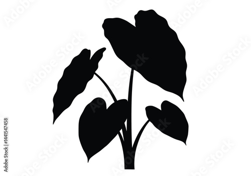 Elephant ear plant silhouette. This image shows a black silhouette of an elephant ear plant, also known as Colocasia or taro, with large, wavy leaves. Vector clipart illustration design.