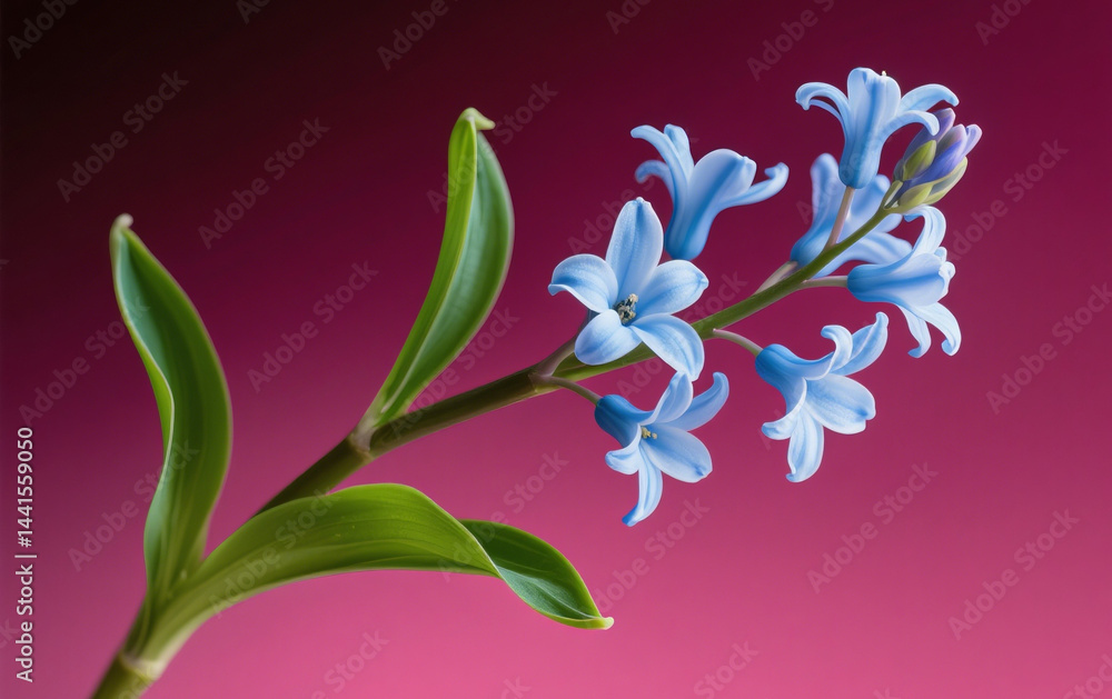 Naklejka premium A serene night sky full of bright stars, with a soft glowing full moon shining 