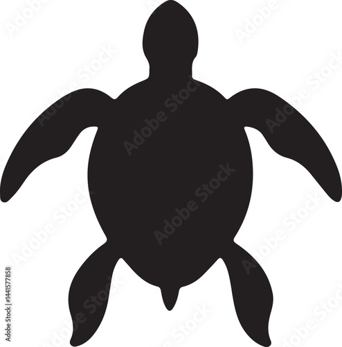 sea turtle vector