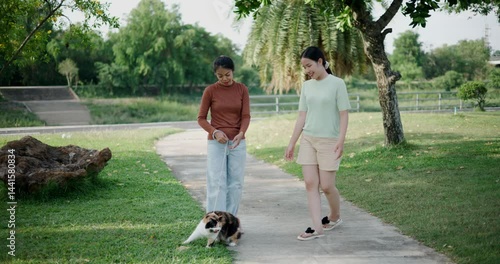 Handheld shot, Two relaxed women are enjoying a walk with a cat and chatting happily in an outdoor park.