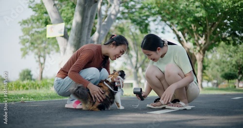 Handheld low angle view shot, Two happy women enjoying playing with cat on a weekend in a park. Spending free time with pet.