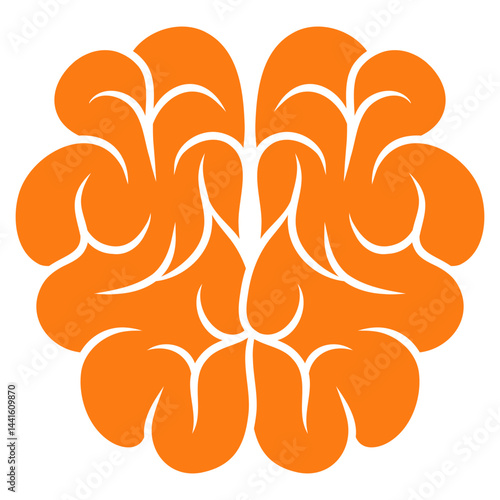 illustration of brain human anatomy