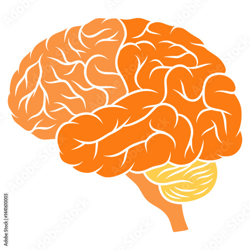 human brain vector illustration