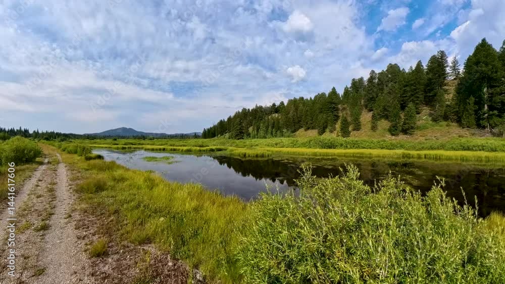 Hiking On Two Track Along Marsh in Grand Teton National Park Hiking On Two Track Along Marsh in Grand Teton National Park