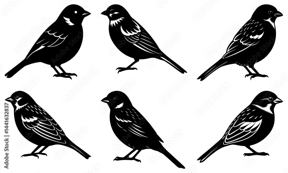 Fototapeta premium Sparrow Silhouette vector illustration