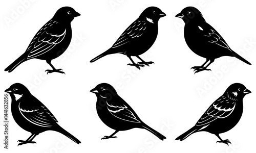 Wallpaper Mural Sparrow Silhouette vector illustration Torontodigital.ca