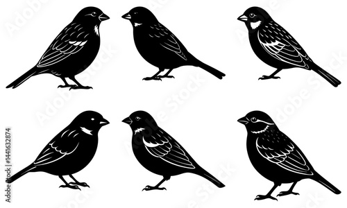 Wallpaper Mural Sparrow Silhouette vector illustration Torontodigital.ca