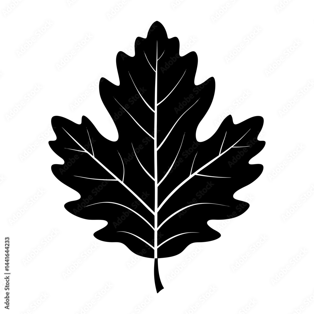 Obraz premium Oak Leaf Silhouette vector illustration