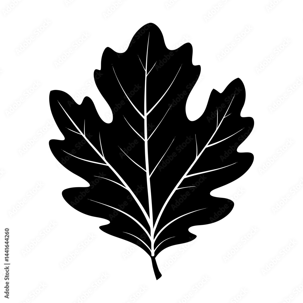 Fototapeta premium Oak Leaf Silhouette vector illustration