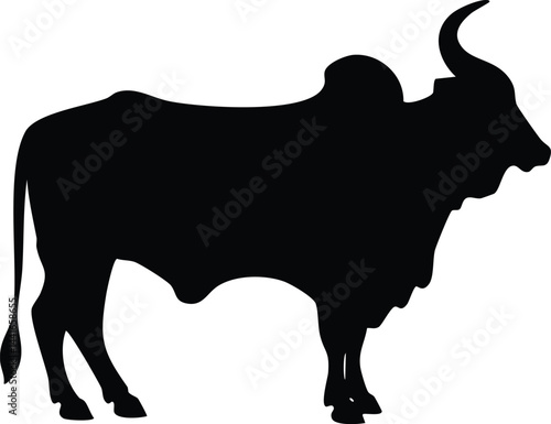 Brahman Bull Silhouette Vector — Farm Animal, Cattle, Ranching, Livestock Design for Cutting Machines