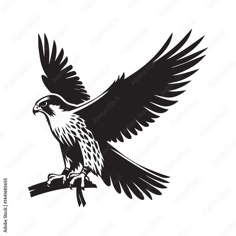 Obraz premium eagle vector illustration