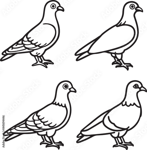 pigeons black line art design clearing with white background.