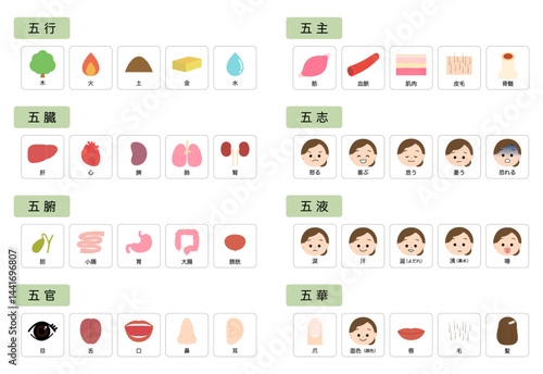 東洋医学　人体の五行分類