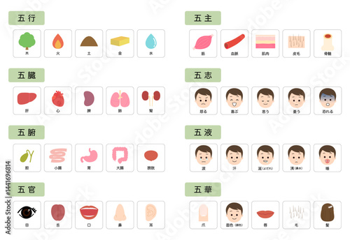 東洋医学　人体の五行分類
