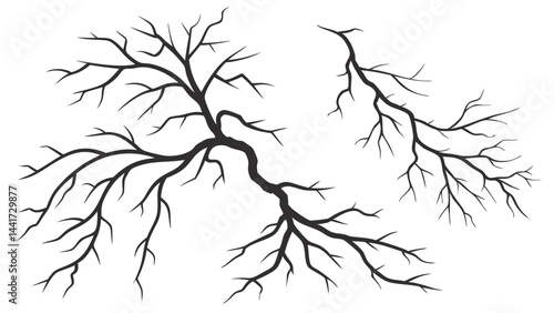 Organic crack vectors resembling natural breaking patterns found in nature, ideal for adding realistic texture to designs