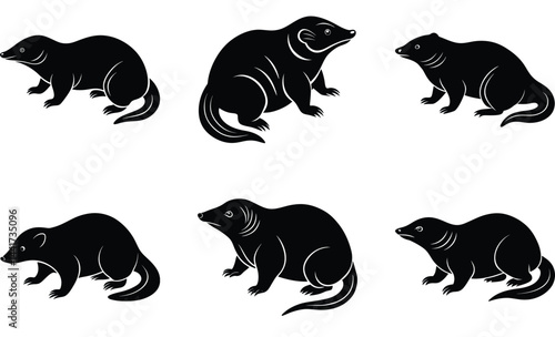 Golden mole wild animal silhouette black vector art design set