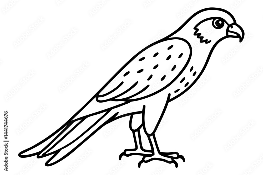 Obraz premium Elegant Kestrel Outline