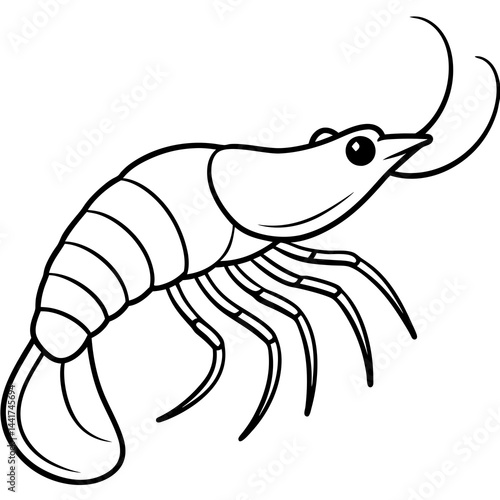 Continuous Line Shrimp Vector Art