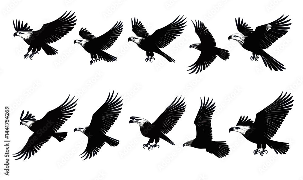 Obraz premium Eagle Silhouettes Pack: Minimalist Vector Design for Wildlife and Art Projects