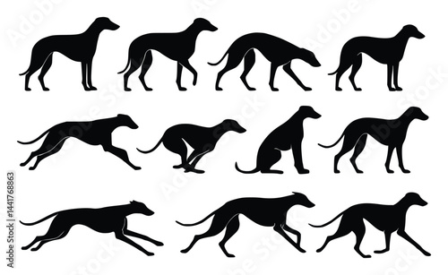 Silhouette Vector Set of Greyhound Dog Poses