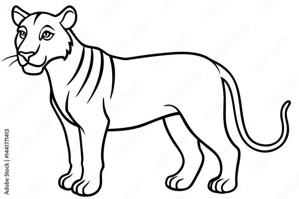 Fototapeta premium Elegant Liger Sketch