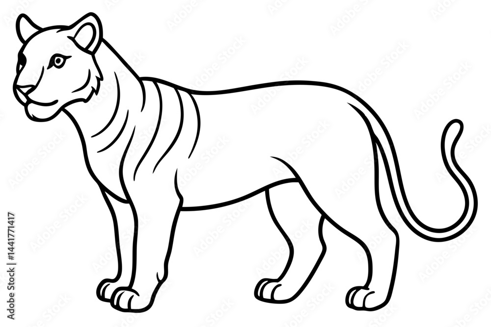 Fototapeta premium Elegant Liger Sketch