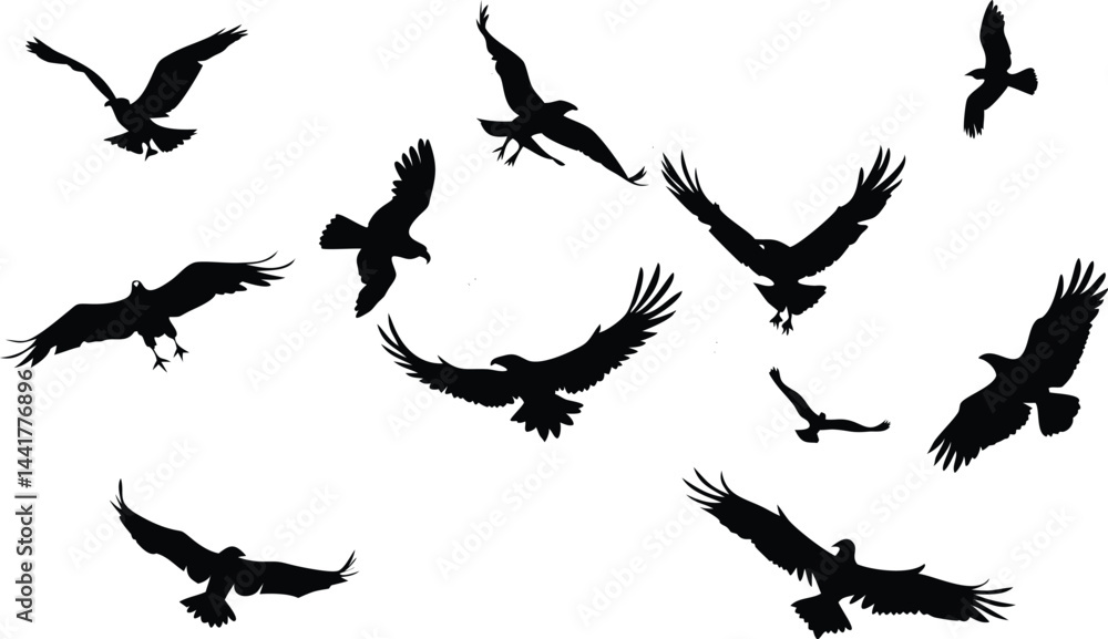 Obraz premium Bald Eagle silhouettes. This vector illustration can be used as a print on t-shirts, tattoo element or other uses 
