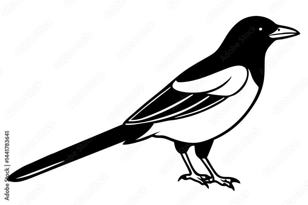 Obraz premium Elegant Magpie Line Art