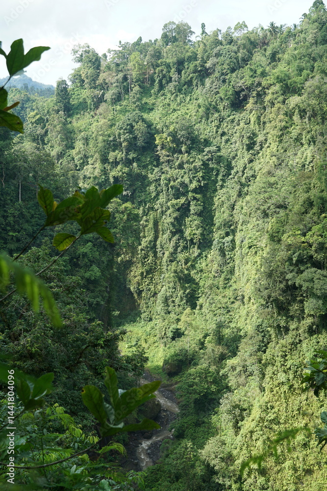 Obraz premium Exploring lush green valleys tropical rainforest landscape photography natural environment aerial view serenity and biodiversity