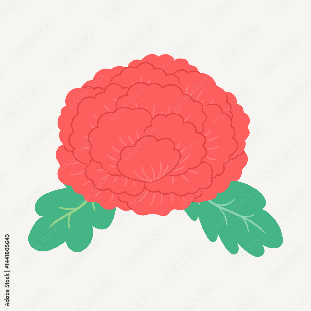 Teacher's Day and Parents' Day Carnation, Vector Teacher's Day and Parents' Day Carnation, Vector