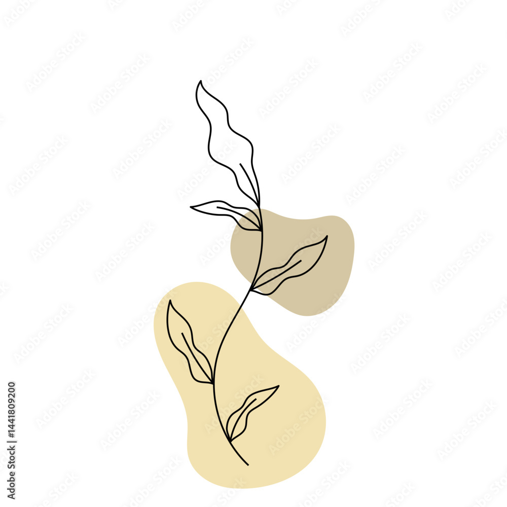 Fototapeta premium Minimalist Botanical Illustration