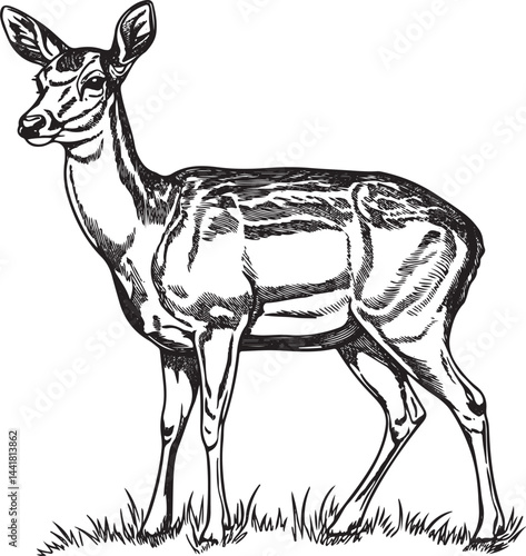 Minimalist continuous line art drawing of a fallow deer standing gracefully on a grassy field with a serene landscape of trees and mountains in black and white illustration