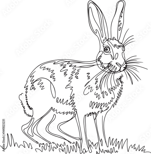 A delicate continuous line vector art drawing showing a hare standing on a grassy field portrayed with minimalist black lines and isolated on a pure white background